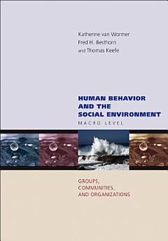 Human Behavior and the Social Environment, Macro Level