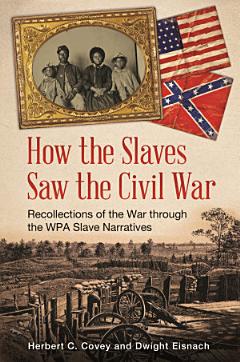 How the Slaves Saw the Civil War