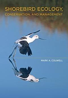 Shorebird Ecology, Conservation, and Management