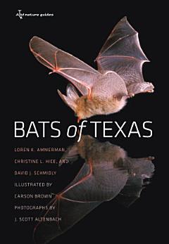 Bats of Texas