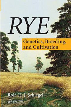 Rye