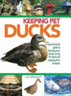 Keeping Pet Ducks