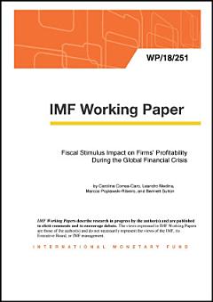 Fiscal Stimulus Impact on Firms\' Profitability During the Global Financial Crisis