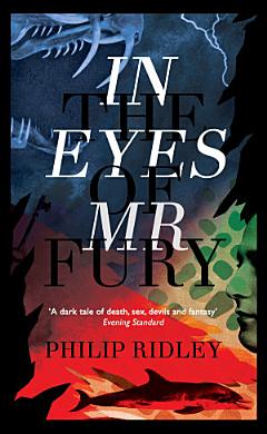 In the Eyes of Mr Fury