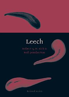 Leech