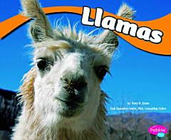 Llamas