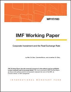 Corporate Investment and the Real Exchange Rate