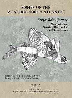 Order Beloniformes: Needlefishes, Sauries, Halfbeaks, and Flyingfishes