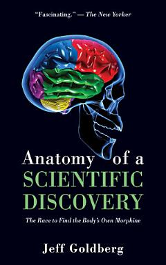 Anatomy of a Scientific Discovery