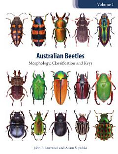 Australian Beetles Volume 1