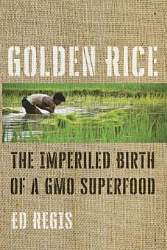 Golden Rice