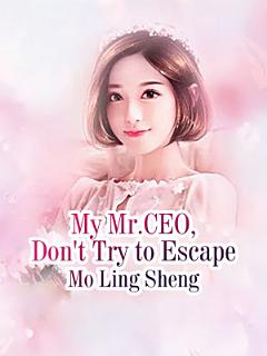 My Mr.CEO, Don\'t Try to Escape