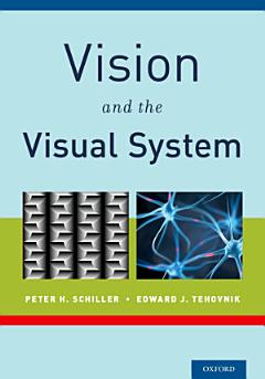 Vision and the Visual System