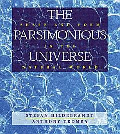 The Parsimonious Universe