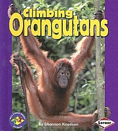 Climbing Orangutans